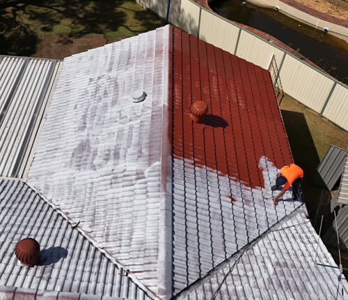 Roof Painting
