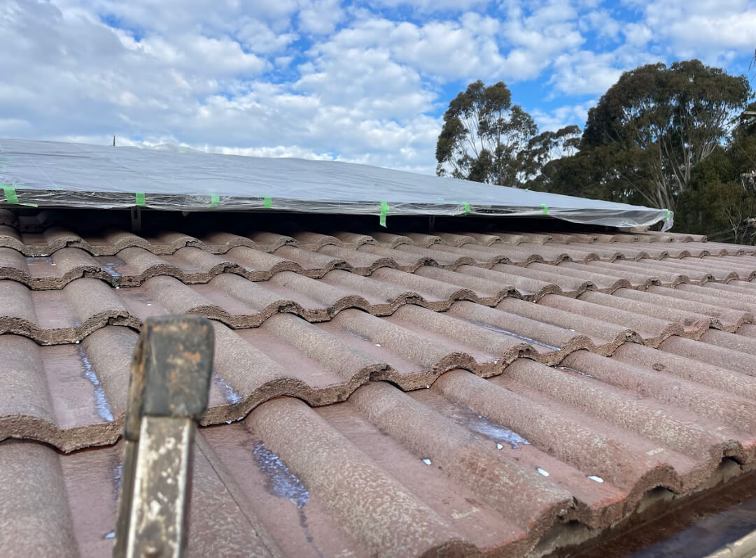 Roof Painting Sydney NSW