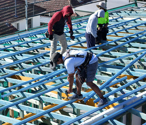 Government & Institutional Projects