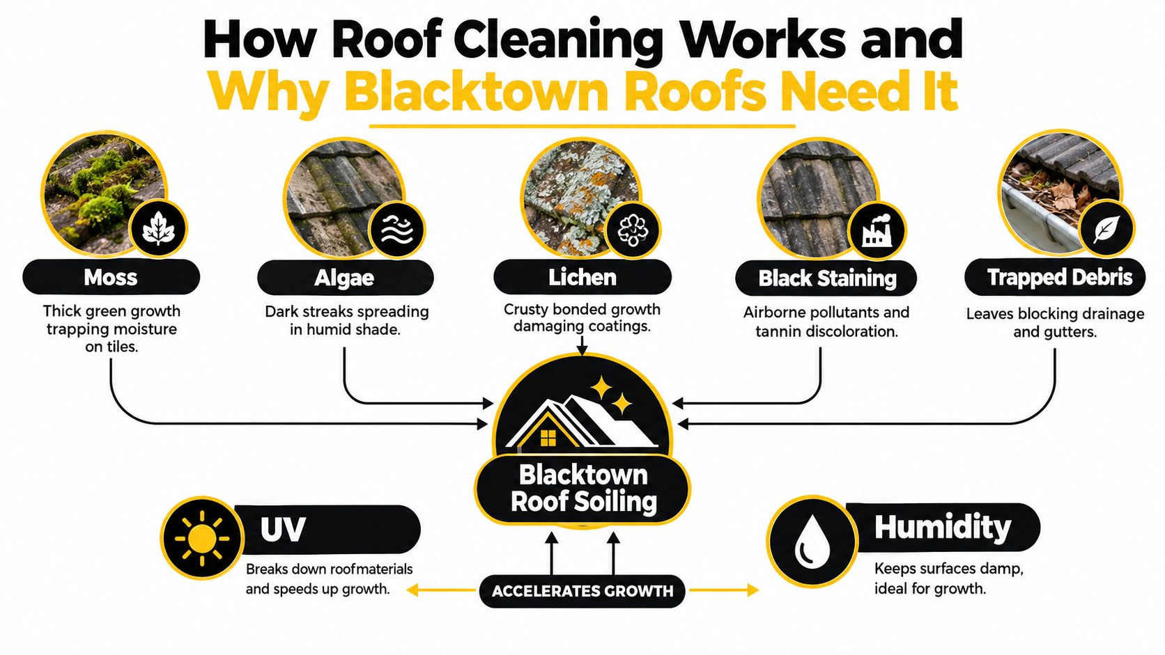 An infographic illustrating common causes of roof damage and soiling in Blacktown, including moss, algae, and weather factors.